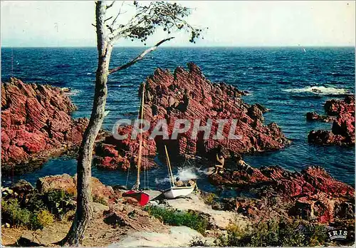 Cartes postales moderne Reflets de la Cote d Azur La Petite Calanque