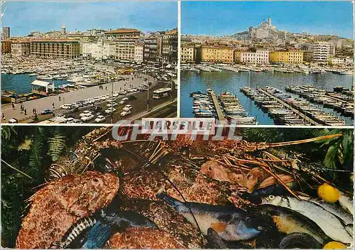 Cartes postales moderne Reflets de Provence Marseille