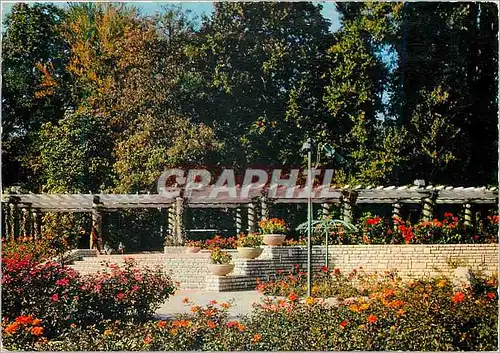 Cartes postales Lyon La Roseraie Rosiers des millions de fleurs