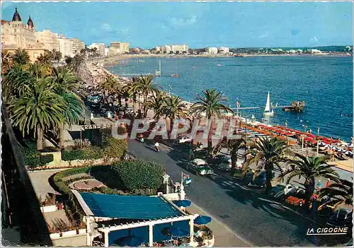 Cartes postales moderne La Cigogne Reflets de la Cote d Azur Cannes Vue d ensemble de la Croisette