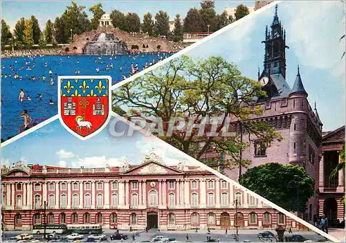 Cartes postales moderne Toulouse Piscine du Parc Municipal des Sports