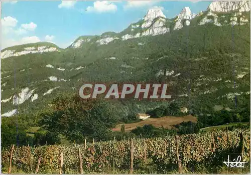 Cartes postales moderne Les Rochers et la Dent du Chat vus de Yenne Savoie
