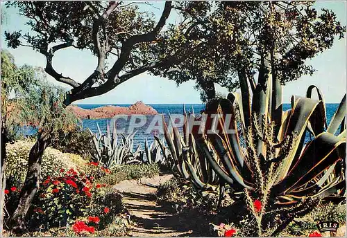 Cartes postales moderne Reflets de la Cote d Azur Harmonie de couleurs et de Lumiere