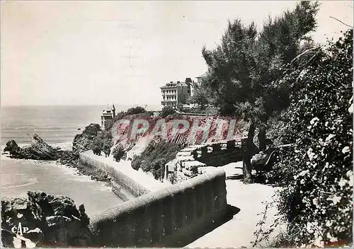 Cartes postales moderne Biarritz La Cote des Basques
