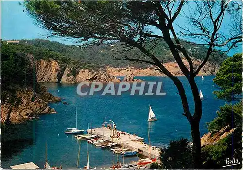 Cartes postales moderne La Cote des Maures Domaine Le Cap Benat a Bormes Les Mimosas Var Le Port prive des Yachts Bateau
