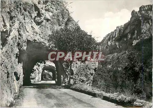 Cartes postales moderne Gorges du Tarn Lozere Tunnel des Baumes