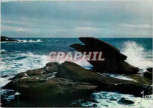 Cartes postales moderne La Bretagne en Couleurs Presqu ile de Quiberon Morbihan Sur la Cote Sauvage l Aigle