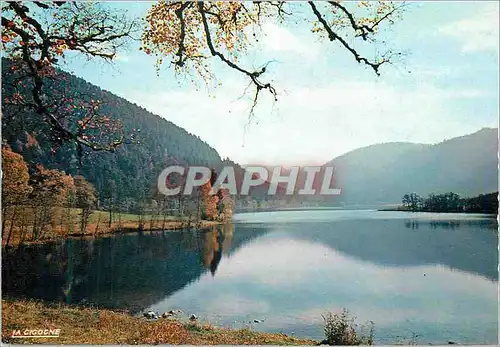 Moderne Karte Les Hautes Vosges Le Lac de Longemer