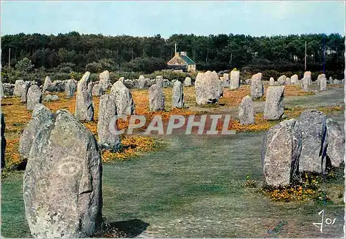 Cartes postales moderne La Bretagne en Couleurs Les alignements du Menec dans la region de Carnac