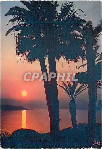 Cartes postales moderne Reflets de la Cote d Azur Coucher du Soleil