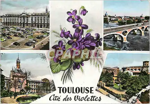 Cartes postales moderne Toulouse Cite des Violettes Toulouse La Villa Rose La Place du Capitale