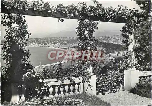 Cartes postales moderne La Cote d Azur Nice Entre les Fleurs