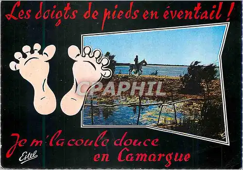 Cartes postales moderne Les doigts de pieds en eventail je m la coule douce eb Camargue Souvenir de Camargue