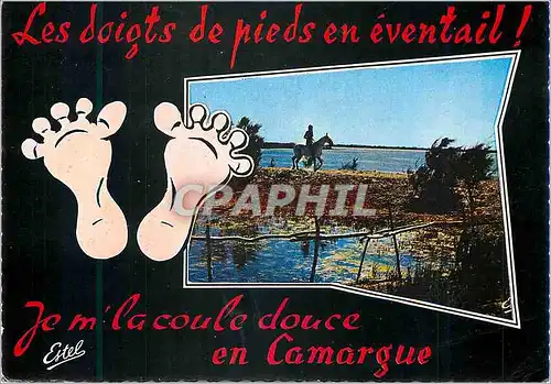 Moderne Karte Les doigts de pieds en eventail je m la coule douce eb Camargue Souvenir de Camargue