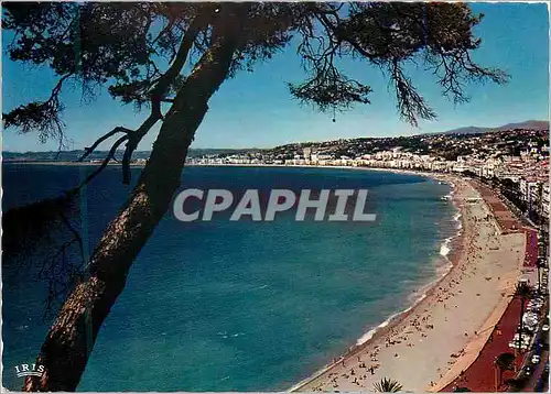 Cartes postales moderne Reflets de la Cote d Azur Nice Vue panoramique de la Promenade des Anglais