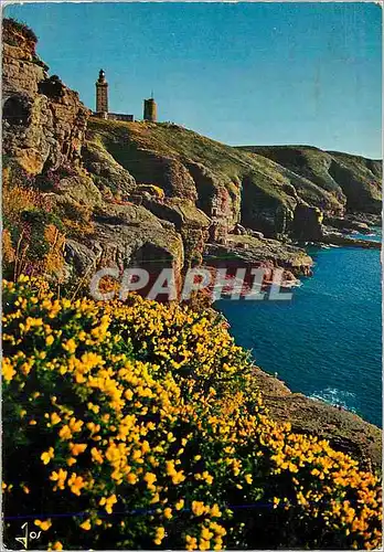 Cartes postales moderne La Bretagne en Couleurs Le Cap Frehel Les falaises et le phare