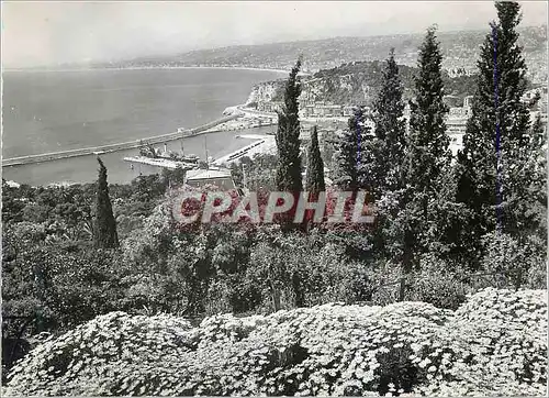 Cartes postales moderne La Cote d Azur Nice Vue generale prise du Mont Boron