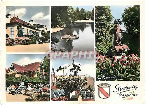 Cartes postales moderne Strasbourg Parc de l Orangerie