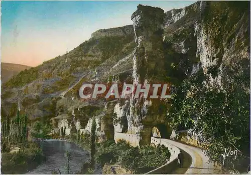 Cartes postales moderne Gorges du Tarn Pougnadoires Lozere La Tour Eiffel