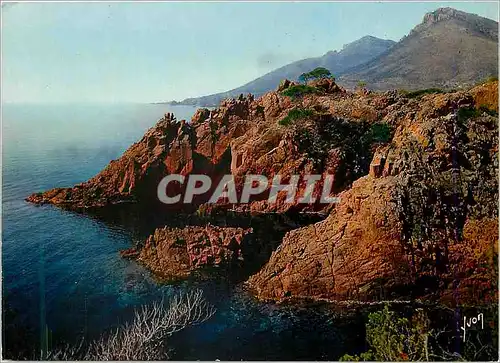 Cartes postales moderne Couleurs et Lumiere de France La Cote d Azur miracle de la nature Massif de l Esterel Var