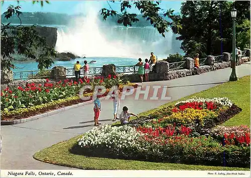 Cartes postales moderne Niagara Falls Ontario Canada