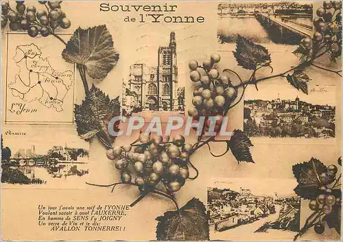 Cartes postales moderne Souvenir de l Yonne Auxerre Joigny Tonnerre