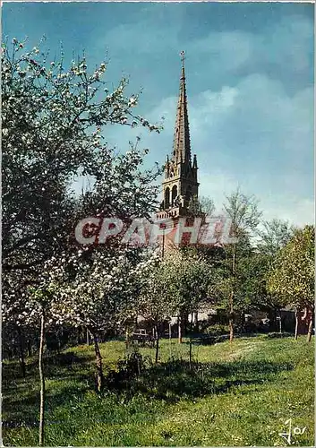 Cartes postales moderne La Bretagne en Couleurs Le Printemps en Bretagne Pommiers en fleurs pres de la chapelle Saint Co