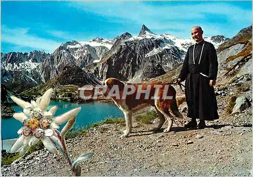 Cartes postales moderne Vallee d Aoste pittoresque The Great St Bernard Pass General view from the kennel Chien