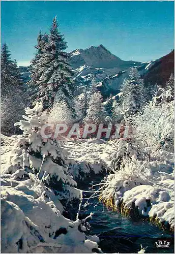 Cartes postales moderne Frimas