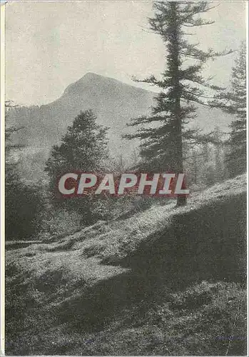 Cartes postales moderne Aidez la Ligue Vaudoises confre la Tubercolose