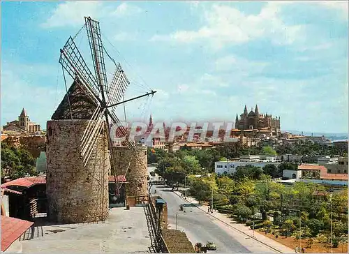 Cartes postales moderne Mallorca Palma The Mill in the background the Cathedral