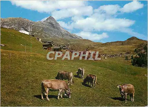 Moderne Karte Bettmeralp Wallis Bettmerhorn und Wurzenbord