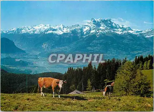 Cartes postales moderne Leysin Prafandaz