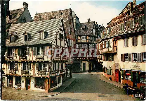 Cartes postales moderne L Alsace Pittoresque Colmar Rue des Marchands