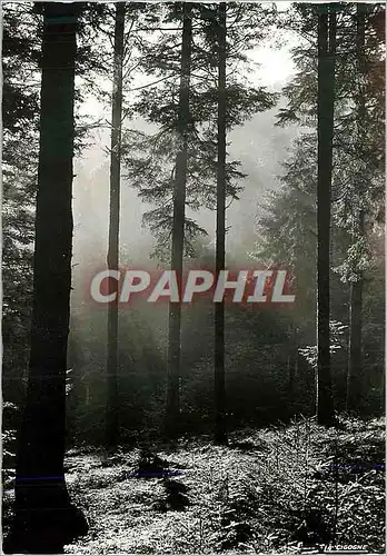 Cartes postales moderne Les Vosges Pittoresques Sous Bais