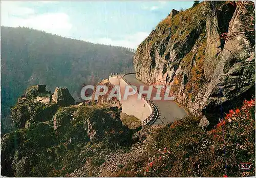 Cartes postales moderne Les Hautes Vosges La Schlucht La route de Munster