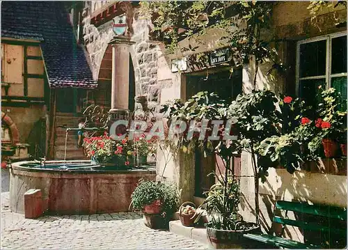 Cartes postales moderne Riquewihr Haut Rhin Porte fortifiee avec herse xve siecle plus ancienne que la tour de Londres V