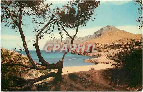 Moderne Karte Cala San Vicente Mallorca La Plage