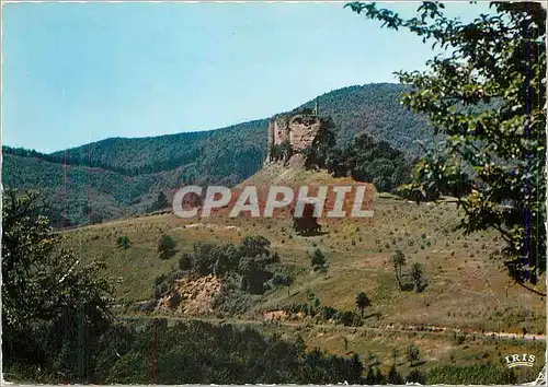 Cartes postales moderne Lembach Bas Rhin Ruines du Chateau de Fleckenstein vue depuis ke Gimbelhof Ruinen con schloss Fl