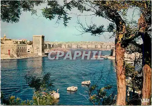 Moderne Karte Reflets de Provence Marseille B du R Le Vieux Port vu des Jardins du Pharo