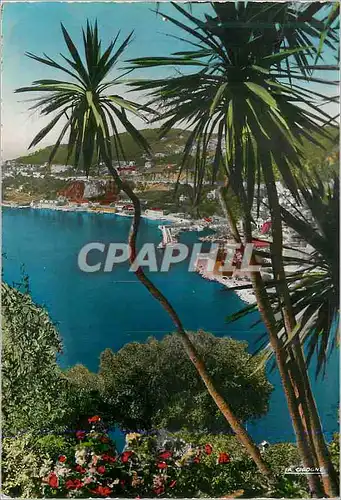 Cartes postales moderne Villefranche sur Mer Alpes Maritimes dans son decor mediterraneen