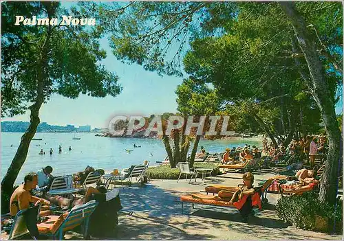 Cartes postales moderne Mallorca Balcares Espana Palma Nova Detalle