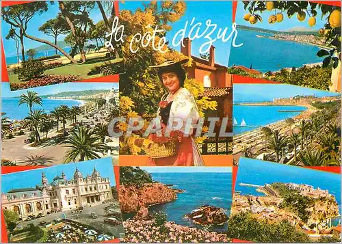 Cartes postales moderne Couleurs et Lumiere de France La Cote d Azur miracle de la nature