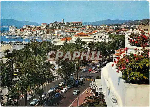 Moderne Karte La Cote Azur Cannes Le Port et le Suquet