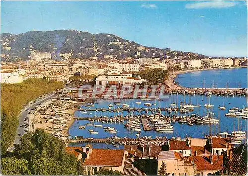 Cartes postales moderne Cannes Vue generale prise du Suquet