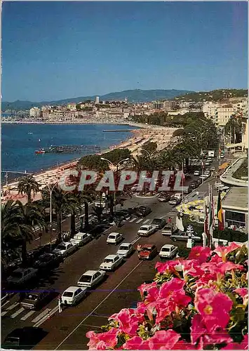 Cartes postales moderne Cannes La Promenade de la Croisette dans le fond le Suquet