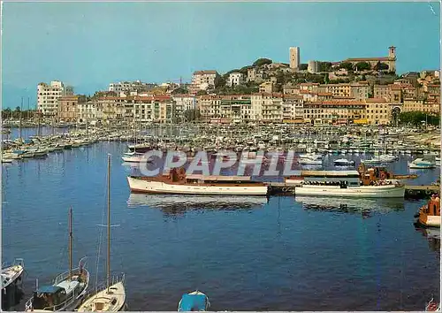 Moderne Karte Cannes Vue generale sur le Suquet et un Coin du Port