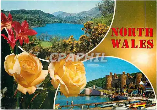 Moderne Karte North Wales Llyn Gwynant Snowdonia Conway Castle