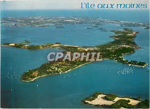 Cartes postales moderne Couleurs de Bretagne Golfe du Morbihan L Ile aux Moines