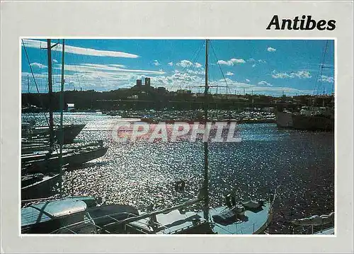 Cartes postales moderne Antibes Alpes Mat Coucher de Soleil